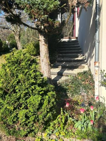 Maison à vendre 5 pièces (87)