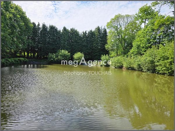 Terrain à Saint-Ellier-du-Maine, 53220 - 30695m²