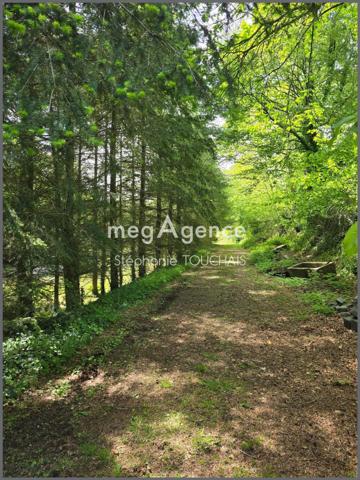 Terrain à Saint-Ellier-du-Maine, 53220 - 30695m²