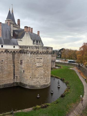 Location appartement Nantes : 2 480 € - AJP Immobilier Nantes Ouest