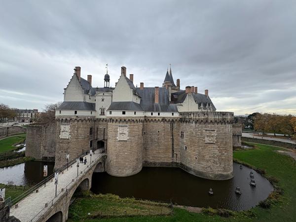 Location appartement Nantes : 2 480 € - AJP Immobilier Nantes Ouest