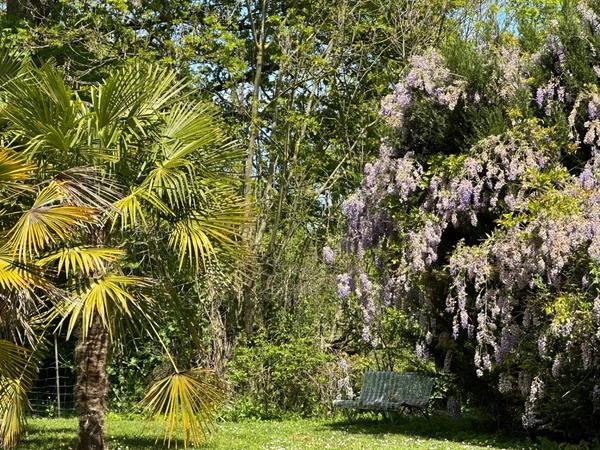 Maison de campagne, isolée, parc arboré, piscine