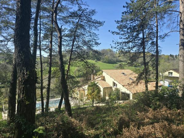 Maison d'architecte avec piscine et deux studios loués