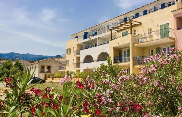 Appartement entièrement rénové en 2025