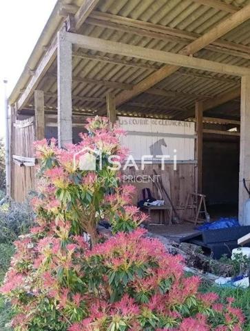 PROPRIETE EQUESTRE DE 2.6HA