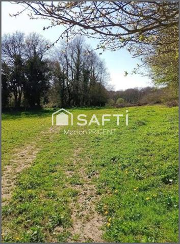 PROPRIETE EQUESTRE DE 2.6HA