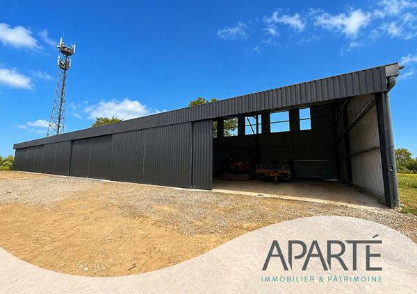Hangar artisanal Nesmy 675 m2