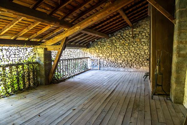 Maison en coeur de ville avec jardin arboré