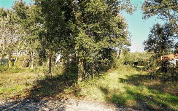 Terrain à vendre |  Bénesse-Maremne |  617 m²
