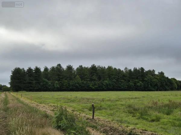 Achat - Terrain de loisirs, bois, étangs Saint-Servant 56120 12280 m 2