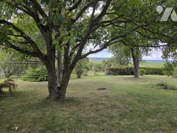 EXCLUSIVITE- A VENDRE à SERMIERS - Terrain à bâtir de 2572 m2 avec dépendances et (maison à démolir)