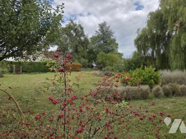 EXCLUSIVITE- A VENDRE à SERMIERS - Terrain à bâtir de 2572 m2 avec dépendances et (maison à démolir)