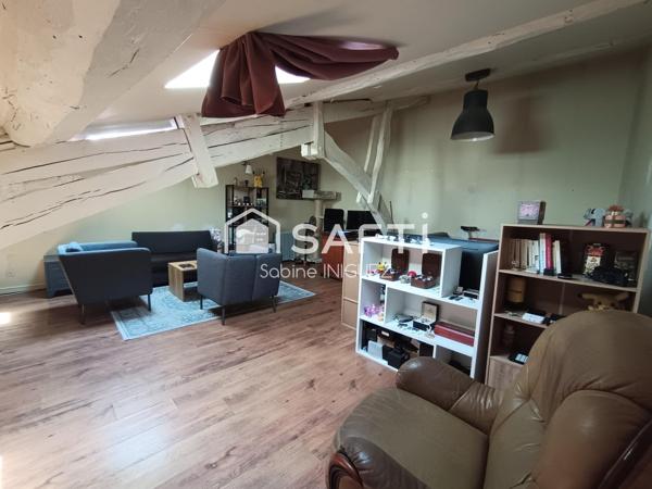 PLEIN CENTRE VILLE, APPARTEMENT ATYPIQUE