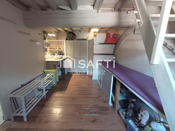 PLEIN CENTRE VILLE, APPARTEMENT ATYPIQUE