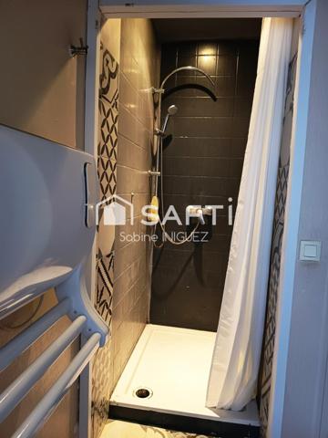 PLEIN CENTRE VILLE, APPARTEMENT ATYPIQUE
