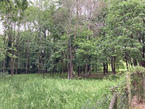 Maison à vendre |  Cartelègue |  2 pièces | 50 m²