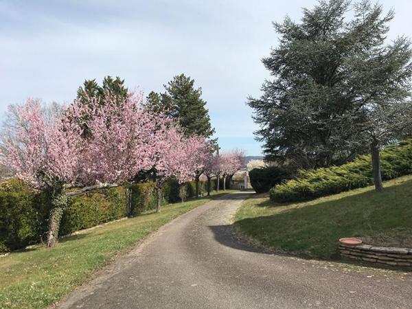 PROPRIETE DE CARACTERE DANS CADRE BUCOLIQUE - PISCINE - VUE  PANORAMIQUE