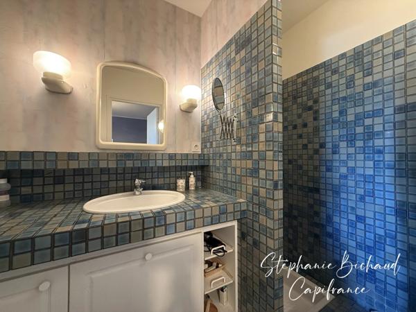 PROPRIETE à vendre 7 pièces CHATEAUVIEUX (05)