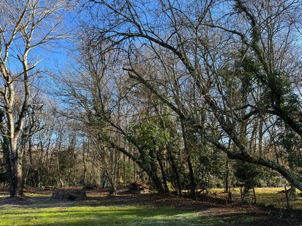 Maison d'architecte de plain-pied à Salleboeuf - 11 pièces - 354 m2 - 7112 m2 de terrain - Double garage - Piscine - 2 dépendances - Aire de stationnement