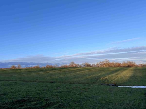 TERRAIN SUR 33 HA
