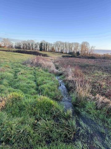 TERRAIN SUR 33 HA