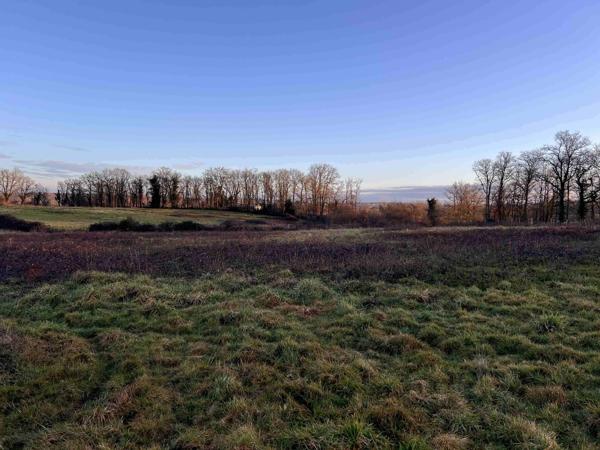 TERRAIN SUR 33 HA