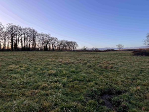 TERRAIN SUR 33 HA
