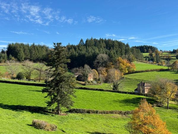 Maison à vendre 7 pièces proche de CHAUFFAILLES (71) 216m² - 5 chambres - dépendances - terrain 1495m²