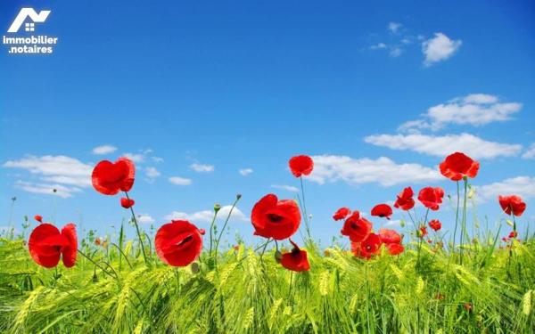 terrain en zone d'activités