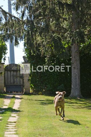 Achat fonds de commerce près de Belleville-en-Beaujolais - 7 pièce(s) - 215 m² - 510 000 €