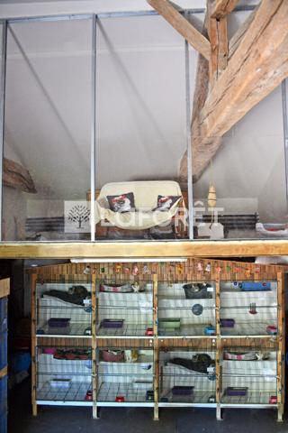 Achat fonds de commerce près de Belleville-en-Beaujolais - 7 pièce(s) - 215 m² - 510 000 €