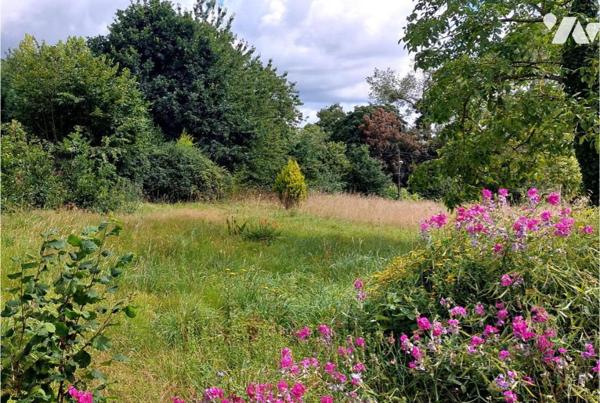 TERRAIN À BÂTIR - QUETTREVILLE-SUR-SIENNE