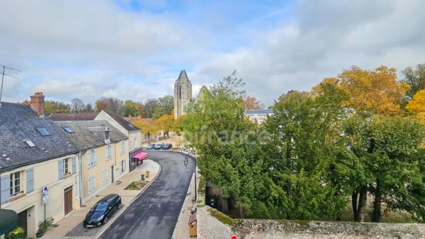Propriété à vendre 10 pièces sur terrain clos de murs en pierre MORIGNY CHAMPIGNY (91)