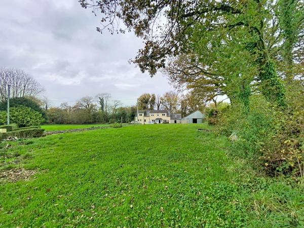 3000 m², nature, hangar : cap sur Saint-Thois