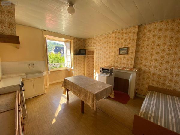 Maison à vendre à Raulhac dans le Cantal (15800), ref : 15061-13