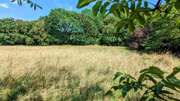 Vente / Maison de plain-pied