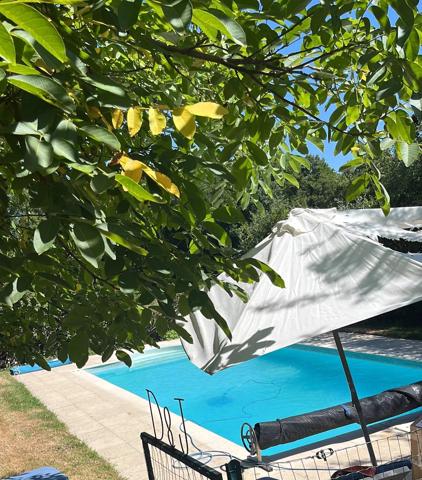 Charmante petite maison avec piscine