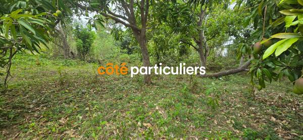 Vente
                Terrain601 m² - SAINTE ANNE (97180)