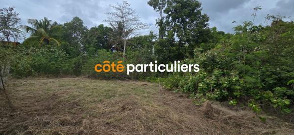 Vente
                Terrain601 m² - SAINTE ANNE (97180)