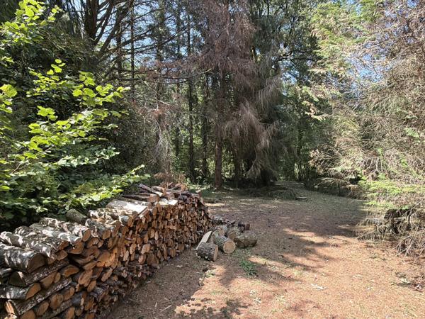 Pavillon indépendant au bord d'un ruisseau, niché dans un cadre boisé paisible