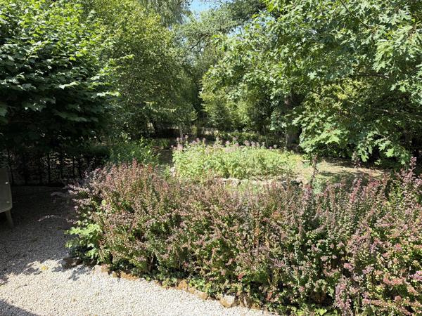 Pavillon indépendant au bord d'un ruisseau, niché dans un cadre boisé paisible