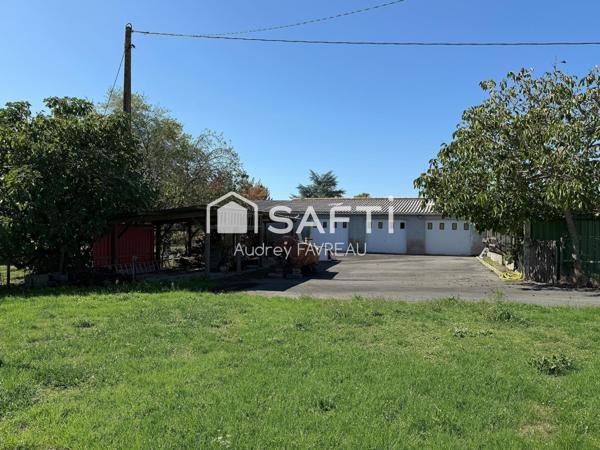 Maison PP, 118m2, 3 ch, 2261m2 terrain, 4 garages