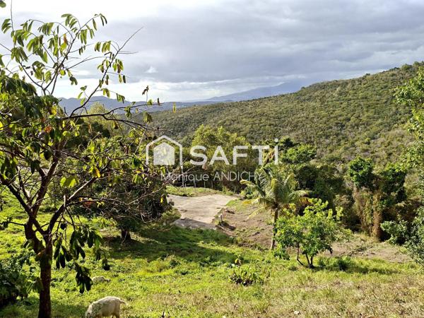 Terrain 785 m² au calme, prêt à bâtir