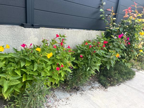 Maison à vendre 5 pièces REIMS (51)