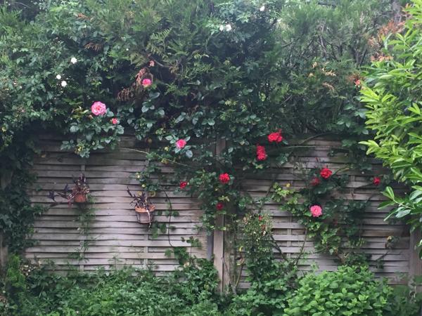 Maison à vendre 5 pièces REIMS (51)