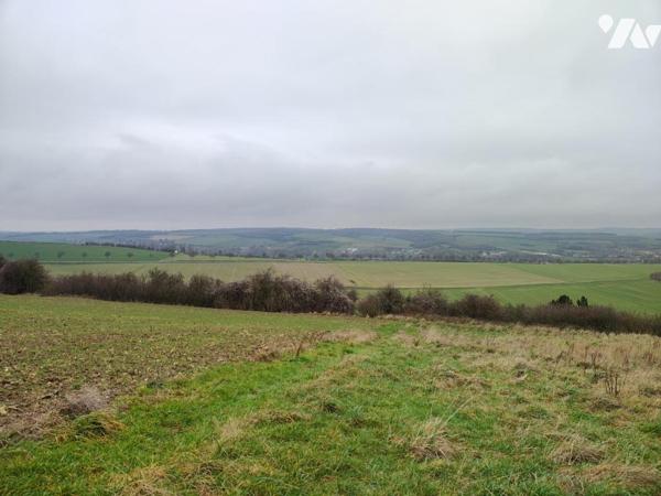  NOUVEAUTE - BOIS sur FAUQUEMBERGUES 