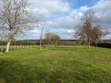 Terrain de loisirs - Bois - Etang à vendre à Changé dans la Sarthe (72560), ref : CHTL2