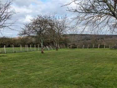 Terrain de loisirs - Bois - Etang à vendre à Changé dans la Sarthe (72560), ref : CHTL2