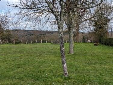 Terrain de loisirs - Bois - Etang à vendre à Changé dans la Sarthe (72560), ref : CHTL2
