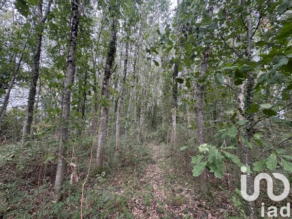 Terrain à vendre 44 521 m² Oudon